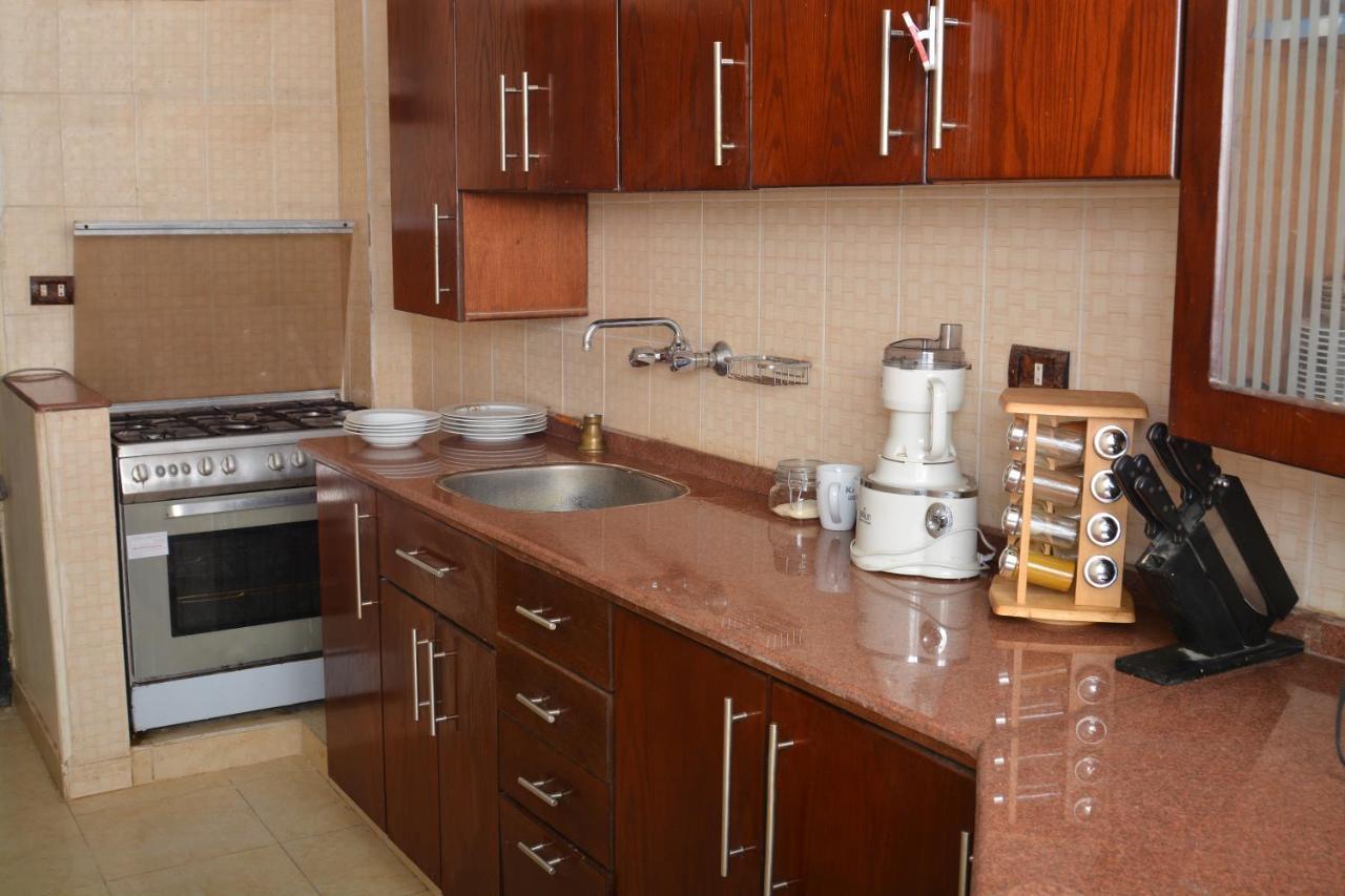 Aswan Nile Palace מראה חיצוני תמונה